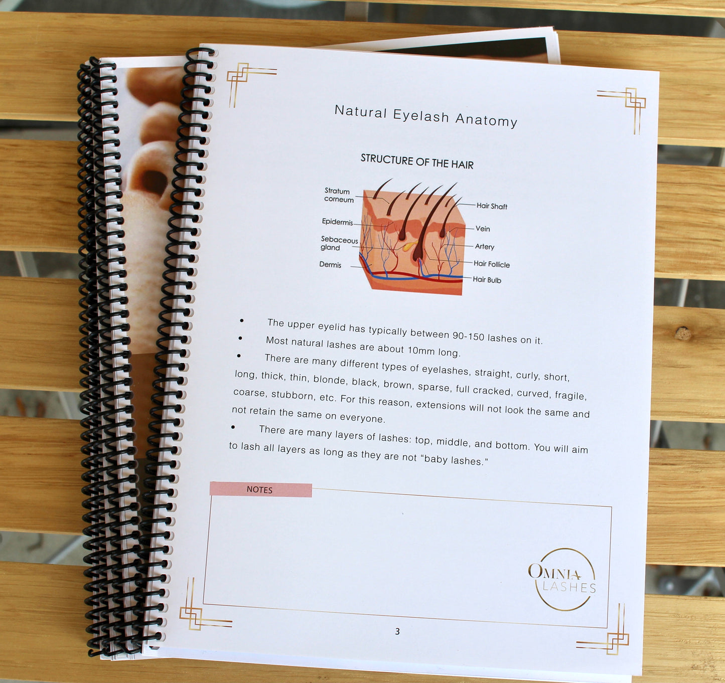 Classic Eyelash Extension Training Manual (English) ✨