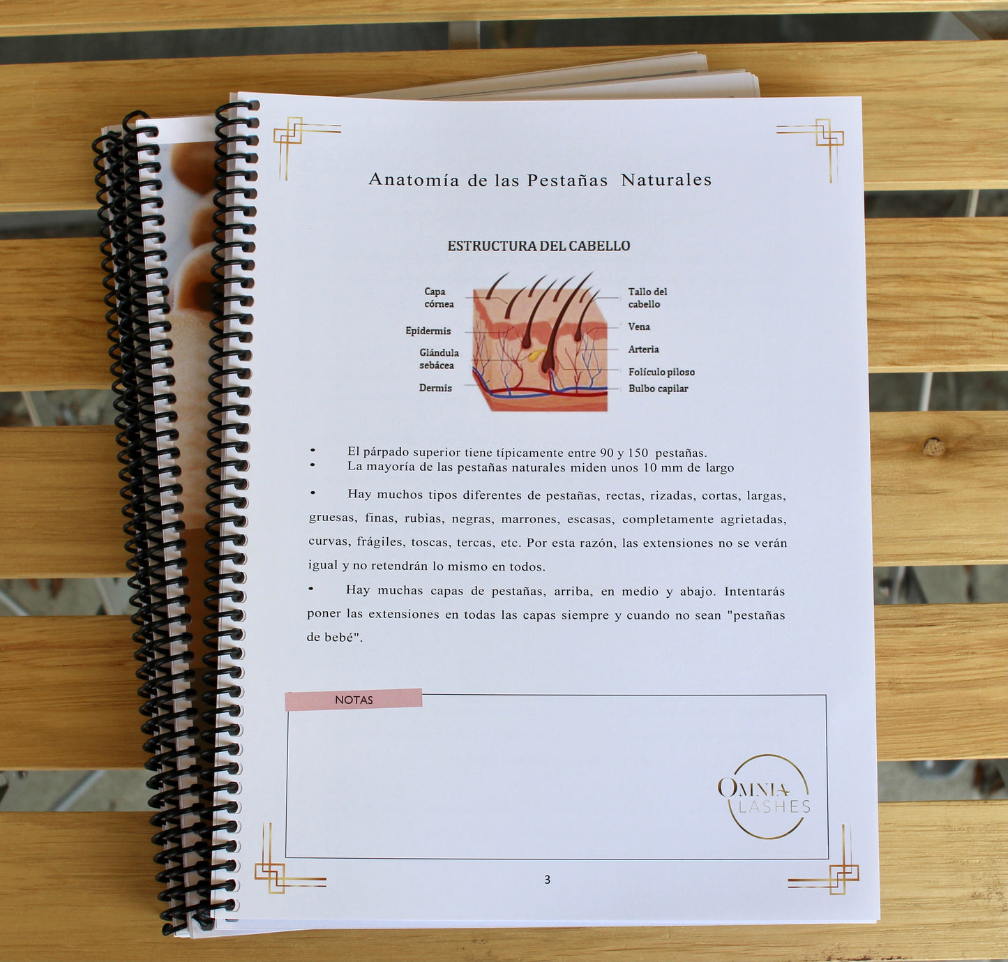 Manual de Entrenamiento para Extensiones de Pestañas Clásicas (Español) ✨