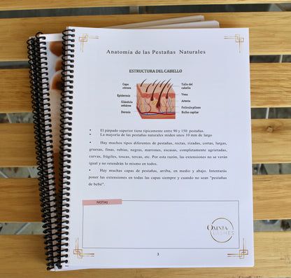 Manual de Entrenamiento para Extensiones de Pestañas Clásicas (Español) ✨