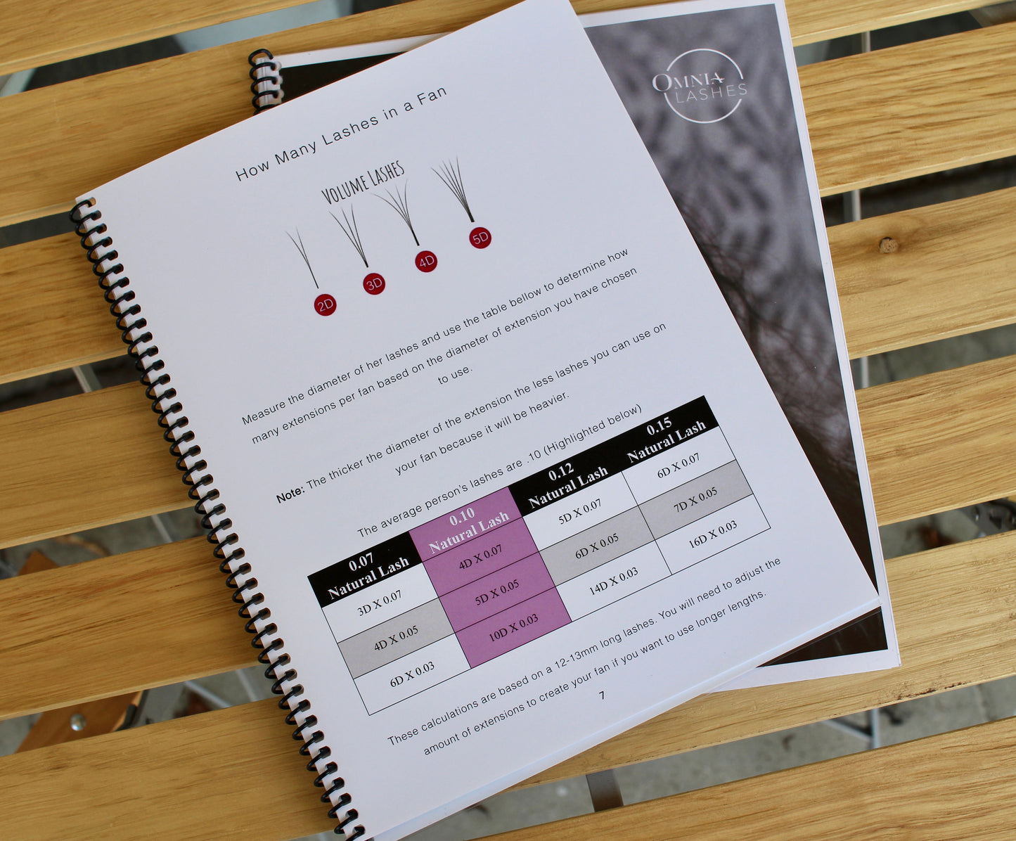 Hybrid & Volume Lash Extension Training Manual (English) ✨
